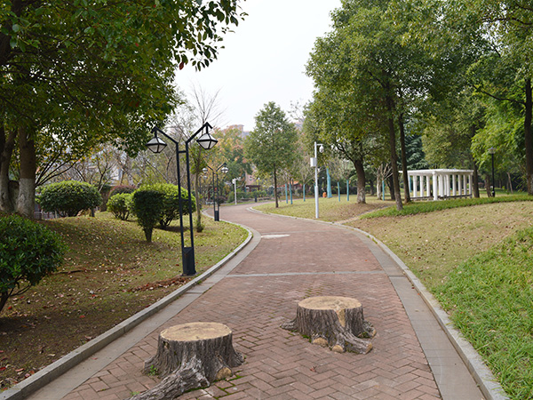 维一柳岸景观大道