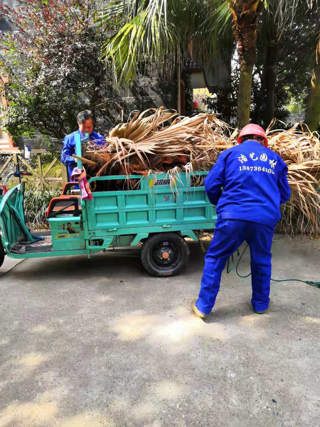 常德市康都物业服务有限公司,常德保安服务公司,保洁服务,绿化服务,搬运服务,墙外高空清洗服务