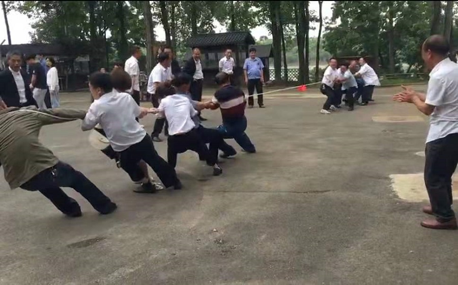 常德市康都物业服务有限公司,常德保安服务公司,保洁服务,墙外高空清洗服务