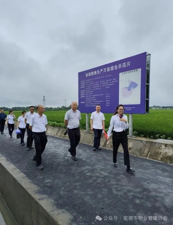 常德市康都物业服务有限公司,常德保安服务公司,保洁服务,墙外高空清洗服务
