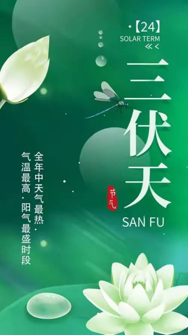 常德市康都物业服务有限公司,常德保安服务公司,保洁服务,墙外高空清洗服务