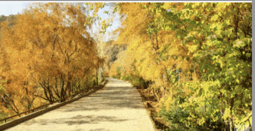 常德市康都物业服务有限公司,常德保安服务公司,保洁服务,墙外高空清洗服务